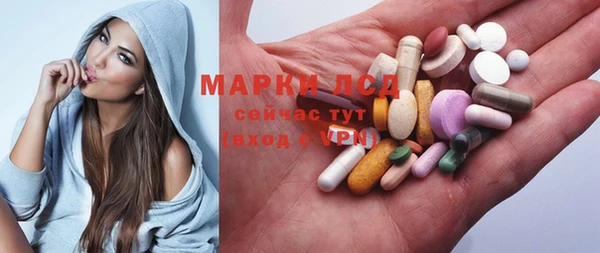 ГАЛЛЮЦИНОГЕННЫЕ ГРИБЫ Струнино