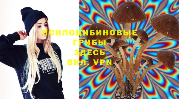 ГАЛЛЮЦИНОГЕННЫЕ ГРИБЫ Струнино