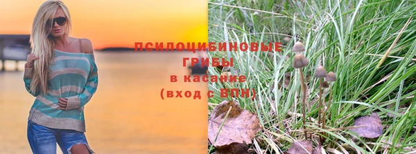 ГАЛЛЮЦИНОГЕННЫЕ ГРИБЫ Струнино
