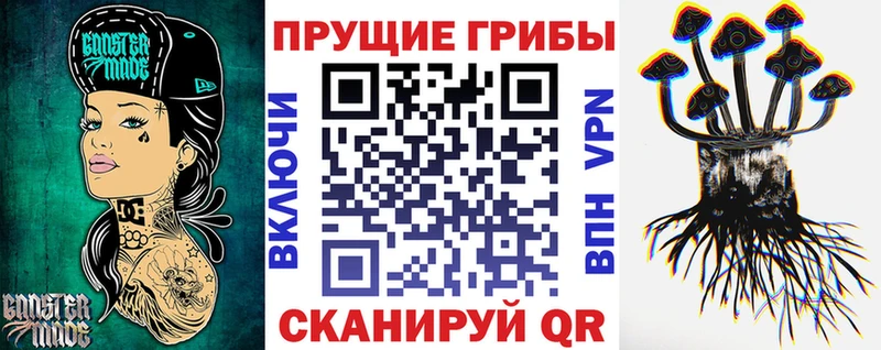 Галлюциногенные грибы Psilocybine cubensis  Северская 